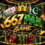667pak game